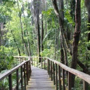 Lekki Conservation Centre