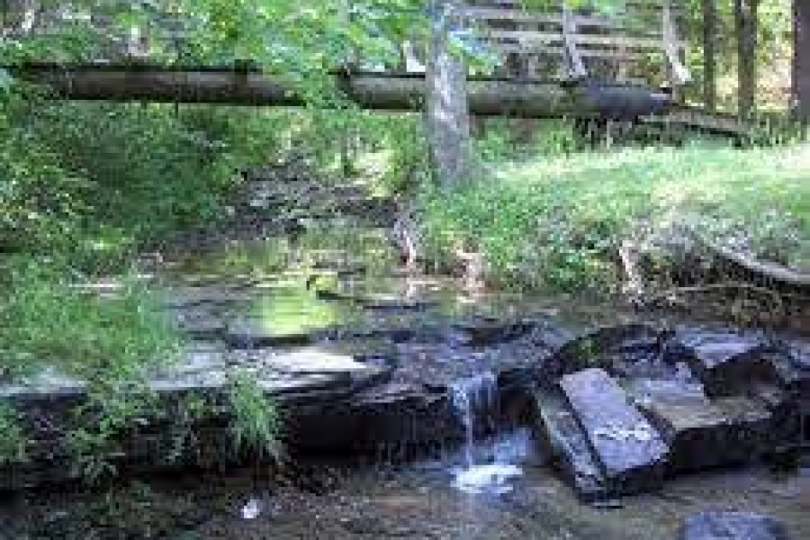 Gabo Escarpment Nature Reserve