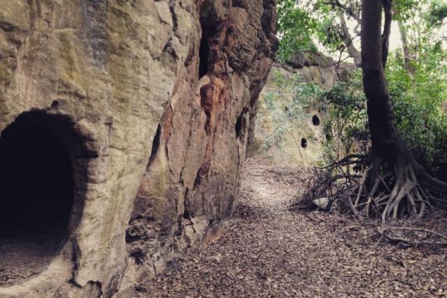 Marshall-Caves-2