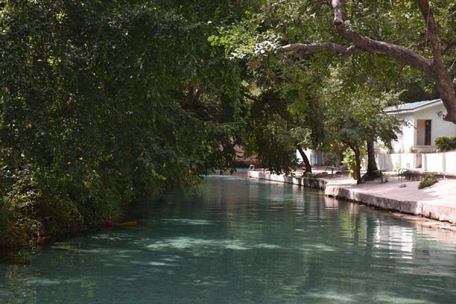 yankari-game-reserve